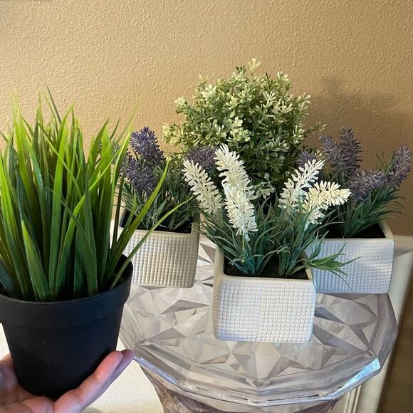 Faux Plants Lot of 5 Lavender in Ceramic Square Pots - Picture 1 of 11